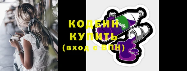 крисы Верхний Тагил