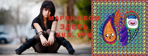 прущие грибы Верхнеуральск