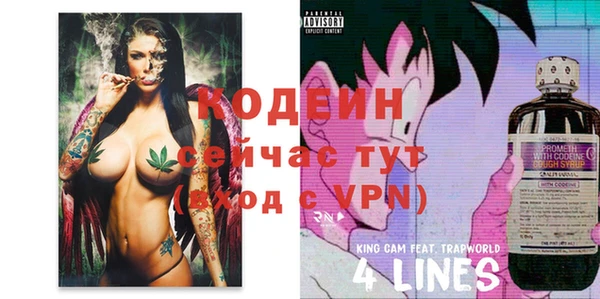 крисы Верхний Тагил