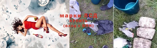 крисы Верхний Тагил