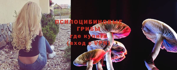 прущая мука Верея