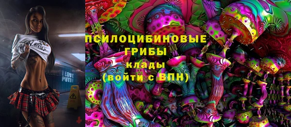 прущие грибы Верхнеуральск